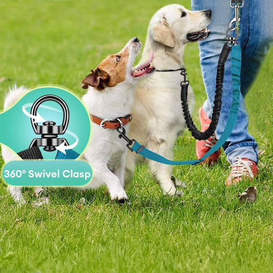 Don't Be a Drag! 5 Leashes That Turn 'Walkies' Into a Breeze