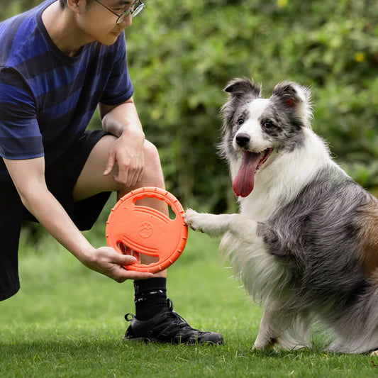 Beyond the Bowl: 5 enrichment toys to feed your dog's inner genius
