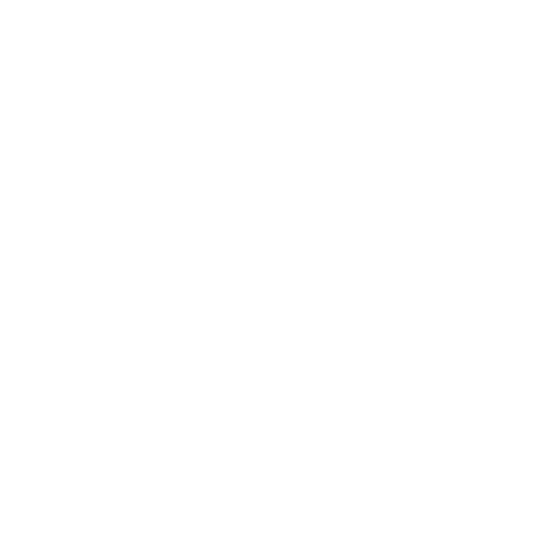 ARTFUL PAWS LTD
